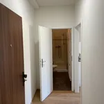 Pronajměte si 1 ložnic/e byt o rozloze 26 m² v kosire