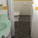 Rent 2 bedroom apartment of 60 m² in Frosinone