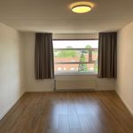 Rent 2 bedroom apartment of 125 m² in tilburg