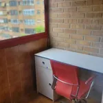 Rent 1 bedroom apartment in valencia