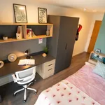 Rent 1 bedroom apartment in Coventry