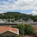 Rent 2 bedroom apartment of 40 m² in Saint-Étienne