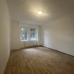 Rent 2 bedroom apartment in Plzeň