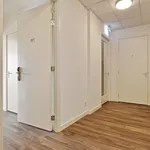 Apartment for rent in Bergen op Zoom Burgemeester van Hasseltstraat