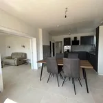 Rent 2 bedroom apartment of 75 m² in Dusseldorf