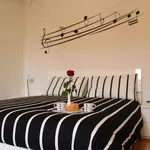 Rent 1 bedroom apartment in Bologna