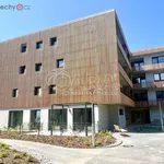 Rent 2 bedroom apartment of 53 m² in Plzeň