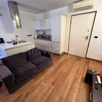 Rent 2 bedroom apartment of 60 m² in Torino