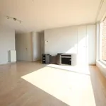 Rent 2 bedroom apartment in Putte