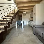 Rent 2 bedroom apartment of 50 m² in Lonigo