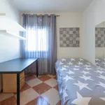 Rent 3 bedroom apartment in Madrid