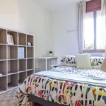 Rent a room in padua