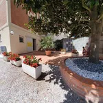 Rent 2 bedroom apartment of 40 m² in Comacchio