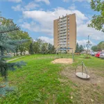 Rent 1 bedroom apartment of 29 m² in Karviná