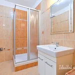 Rent 3 bedroom apartment in Brno