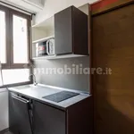 Rent 1 bedroom apartment of 20 m² in Turin