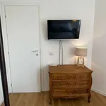 Rent 1 bedroom apartment in milan