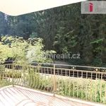 Rent 1 bedroom apartment in Karlovy Vary