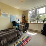 Rent 3 bedroom house in East Midlands