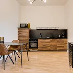 Rent 1 bedroom apartment of 30 m² in Prague