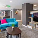 Rent 1 bedroom apartment in Sheffield