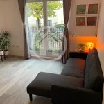 Rent 1 bedroom apartment in Chelmsford