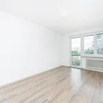 Rent 1 bedroom apartment in Hradec Králové