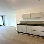 Rent 3 bedroom apartment of 82 m² in Binnenstad