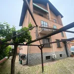 Rent 3 bedroom apartment of 80 m² in Turin