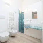 Rent 2 bedroom apartment of 50 m² in Milano