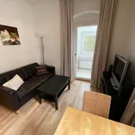 Rent 2 bedroom apartment of 37 m² in Dresden