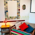 Rent 1 bedroom apartment in Guanajuato