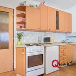 Rent 1 bedroom apartment in Capital City of Prague