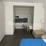 Rent 2 bedroom apartment of 50 m² in Pisa