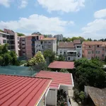 Rent 5 bedroom apartment in Coimbra