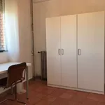 Rent a room in madrid