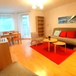 Rent 1 bedroom apartment of 34 m² in Poznan