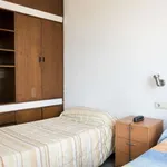 Alquilar 1 dormitorio apartamento en madrid