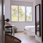 Rent 8 bedroom apartment in Barcelona