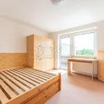 Rent 1 bedroom house of 120 m² in Praha