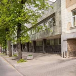 Rent 1 bedroom apartment in vilnius