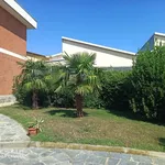 Rent 2 bedroom apartment of 70 m² in Caselle Torinese