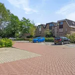 Rent 2 bedroom apartment of 45 m² in Hoge Rijndijk Oost