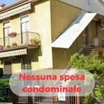 Rent 3 bedroom apartment of 75 m² in Verona