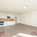 Pronajměte si 1 ložnic/e byt o rozloze 54 m² v Pilsen