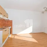 Rent 2 bedroom apartment of 45 m² in Liberec