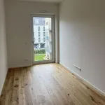 Rent 4 bedroom apartment of 112 m² in Dresden