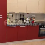 Rent 3 bedroom apartment of 80 m² in Turin