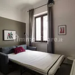 Rent 1 bedroom apartment of 20 m² in Turin