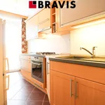 Rent 1 bedroom apartment of 35 m² in Brno